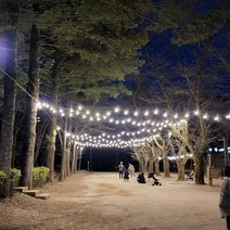 파티라이트 스트링라이트 루프탑 캠핑 까페 펜션용 감성조명 무드조명 11M 10구, LED볼구 G95 12W, 주백색