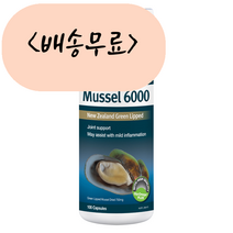 [늘품] 굿헬스 초록입홍합 6000 100개입, 1개, 100개