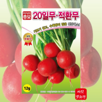 아시아종묘 방울무씨앗 적환무 20일무12g/ 재배가쉬운 적환무 앵두무 씨앗채소씨앗, 1개