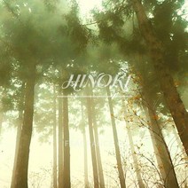 히노끼 L-Type 국내S 향기 (50ml 100ml 500ml 1L) FO 프래그런스 그란스 프로그랜스 오일