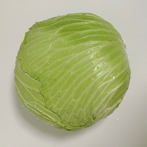 바르다야채 국내산 양배추 1통 (2.5kg~3.5kg)무료배송, 1개(2.5~4kg 내외)