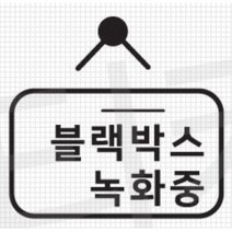 블랙박스 녹화중 스티커 데칼 튜닝 카니발 익스플로러 그랜져 베뉴 더뉴코나 차량 쏘나타DN8 QM3 스타렉스 문구 GV70 K7 올뉴K3 스파크 TG 올란도 SM5, 레드, B타입