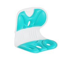 Roomxyd 바른 자세 교정 의자 허리 척추 디스크 인체공학 등받이 죄식의자 골반보호 스마트체어, 그린
