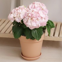 물빠짐구멍 화분받침 토기느낌 거실화분 방꾸미기 카페장식 장식품, 브라운