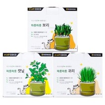 기타 바보사랑[바니펫]스튜디오코코 지구사랑 재배세트, 귀리