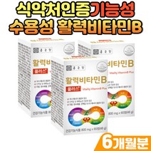 식약처인증 종근당 8종 복합 비타미B군 활력비타민 체내 에너지 단백질 아미노산 생성 수용성 Vitamin b12 메틸코발라민 클로렐라 추출 분말 안토시안 블루베리 농축분말