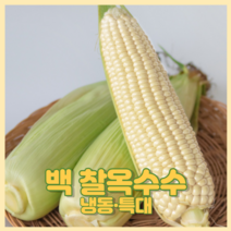 [정하현] 냉동 특대 백 찰옥수수, 60개