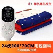 히팅 전기요 1인용 카라반 휴대용 낚시 소형 차박용 전기 장판 캠핑 온열 담요 차량, 24V - 길이 200cmx80cm 9단 스마트 스위치