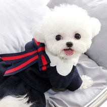 모모도퀸 배색리본 애견 크리스마스 모직 원피스, 네이비