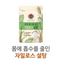 (상온)백설 하얀자일로스설탕500g, 500g, 5개