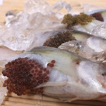 속초시 수협 알도루묵 10마리 탱글탱글한 알이 맛있는 생선, 1