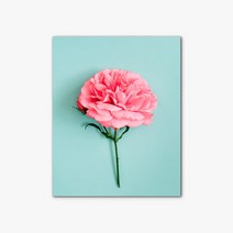 [에이블밤부] 캔버스 사진 작품 인테리어 액자 STOCK image 403