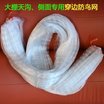 비둘기퇴치망 새쫓는방법 까치퇴치 실외기비둘기퇴치 비둘기스파이크 조류퇴치 아파트비둘기퇴치, 폭80cm길이70m[구멍2cm]가장자리통과