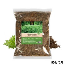 사철쑥 100% 국내산 말린 건 인진호 인진 쑥 차 효능, 2팩, 500g