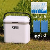 Modlauna 캠핑 아이스박스 보냉 쿨러백 미니 쿨러 36 리터 대용량 낚시, 36L, 흰색