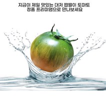 산지직송 고당도]부산 대저 짭짤이 토마토 짭짜리 대저토마토 2.5kg, 정품할인] 짭짤이 토마토 로얄과 2.5kg (S-2S), 1개