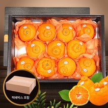 명품 제주 한라봉 3kg(9-12과) x 2 설선물 명절 과일 한라봉 한라봉 10kg 한라봉 영어로 레드향 제주한라봉 제주 한라봉 한라봉 제철 제주낭한라봉 천혜향 못난이 한라봉