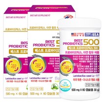 듀폰 다니스코 베스트 프로바이오틱스500 60캡슐X2병/생유산균 식물성캡슐, 2개, 60캡슐