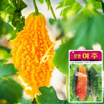여주 씨앗 (10립) 채소씨앗 야채씨앗 배추씨앗