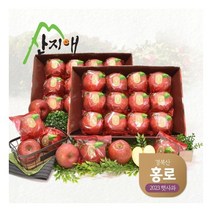 산지애 2023년 햇사과 홍로 6kg (3kgx2박스)