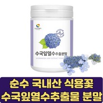수국잎 열수 추출물 식용 꽃 카페인없는 차 먹을수있는 식용수국 산수국 물대용 클린주스 HYDRANGEA 약용식물 산수국잎 하이드란제놀 물에타먹는 가루 먹는꽃 식단조절 수국 물대신, 100gX6개(10%할인)