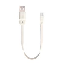 USB 3.1 C타입 보조배터리 20cm 숏 케이블, 1개