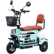 삼륜오토바이 3륜 전기 스쿠터 출퇴근 미니 바이크, 배터리 8A 30km 주행비앙키 그린48V