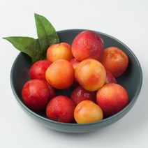 경북 의성 자두 옵션 추석 명절 직원 선물세트, 경북의성새콤달콤자두5kg