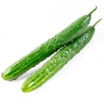 [프레베] 취청오이(2입)
