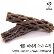 초야우드 10cm 선인장유목 새우어항 물고기놀이터