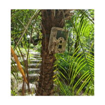 포획틀 멧돼지 덫 유해동물 고라니 반자동 구조망, H2 기본형 충전식 배터리+16G 메모리 카드