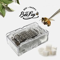 비플라이 건강한 꿀벌 벌침 벌침벌 봉침 봉침벌 벌침용벌+먹이 서비스, 1통, 150~180마리