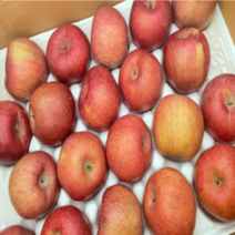 풍미 풍기는 고당도 홍로 사과 선물세트 가정용 못난이사과 흠과 2kg 3kg 5kg, 5kg(소과)
