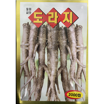 도라지 씨앗 2000립 도라지 씨앗종자, 1개