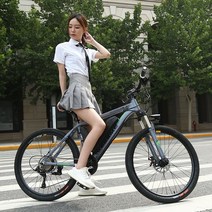 산악전기자전거 EMTB 26인치 성인용, 그레이8AH/주행거리35KM/27단