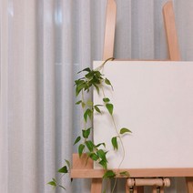 영이오브제 행잉플랜트 조화 스마일락스 넝쿨식물 월데코