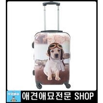 애견케이지 비숑이동가방 강아지여행가방 강아지백팩 고양이이동가방 애견슬링백 강아지이동장 애견캐리어