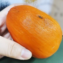 홍시용 못난이 대봉시 대봉감 7kg내외 (랜덤과/알뜰형/실중량) / 곶감용NO