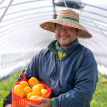 성주 게르마늄 참외 고당도 18Brix, 가정용, 2kg, 소과
