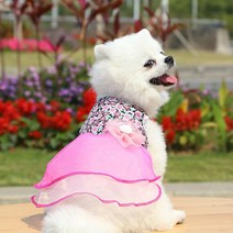 봄과 여름 새로운 애완 동물 귀여운 드레스 스커트 강아지 고양이 공주 한복 의류 사랑스러운 파티 개를, XXL
