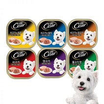 시저 베스트맛 쇠고기 100g 6가지맛 12개입 세트, 시저 베스트맛 6가지맛 (100gx12), 04.선택안함