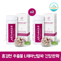 홍경천 추출물 L테아닌 홍경천알파 테아닌알파 만성피로영양제 스트레스영양제 2개월분, 2개 120정 2개월분, 2개