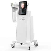 전문 엠슬림 페이셜 마사지 기계 PE-페이스 리프팅 트리트먼트 안티에이징 최신, 01 WHITE_01 영국_01 110V