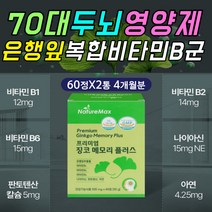 뇌 두뇌 신경 혈관 혈행 건강 에좋은 은행잎 추출물 L 엘 아르기닌 아르지닌 노폐물 배설 파이토케미컬 포스파티딜세린 PS 핵산 우리딘 콜린 기억력 뇌 기능 개선 에좋은 영양제 추천