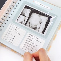 초음파 사진 앨범 주수별 정리, 체크