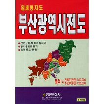 부산광역시전도(입체형지도), 영진문화사