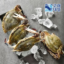 [고래대장] 신진도 직송 활 암꽃게 1kg /2kg /대 봄제철 활꽃게, 암꽃게 1kg/대, 1개