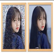 1:1 맞춤형 주문제작 퍼즐 모자이크 이중 그림 퍼즐 치매예방, 단일사진 500피스