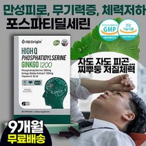 회사원 수험생 50대여성 만성피로 성인 뇌영양제 추천 / 두뇌 건강 건망증 암기력 기억력 감퇴 뇌세포 혈액순환 손 발 다리 저림 통증 개선 / 은행잎 추출물 노화방지 치매예방, 9상자(9개월)