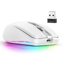 손편한 마우스 인체 공학적 미니 6 버튼 자동 RGB 다채로운 조명 음소거 테이블 PC 컴퓨터 노트북 용 2.4G 무소음, 하얀
